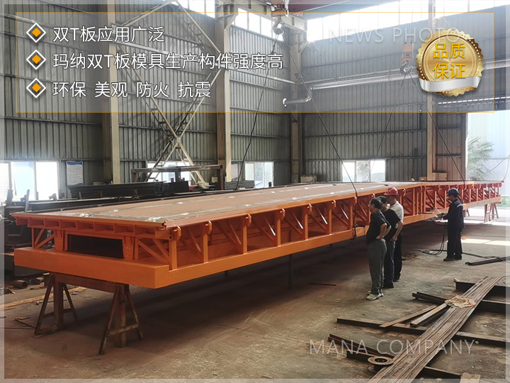 1727167656840561.jpg 玛纳双T板模具03.jpg